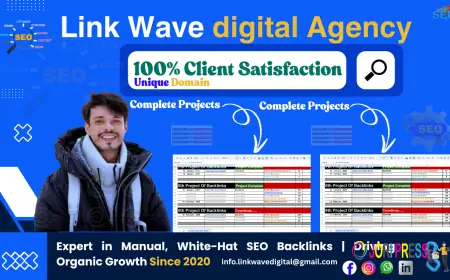 Backlink Link Wave Digital Agency