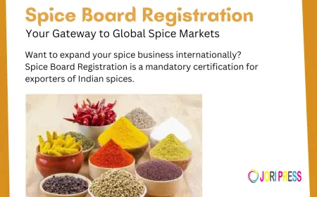 Navigating International Markets: A Strategic Guide for Spice Exporters to Go Global