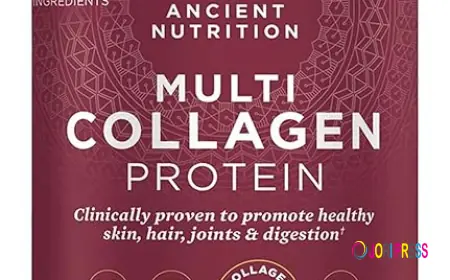 What is the role of Protein Powder in Muscle Building?