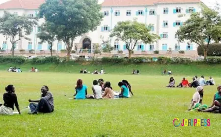 The Simple Trick I Used to Avoid Retaking University Exams