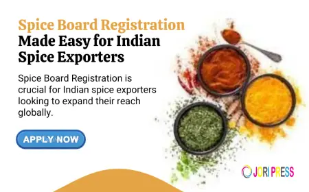 Navigating International Markets: A Strategic Guide for Spice Exporters to Go Global.