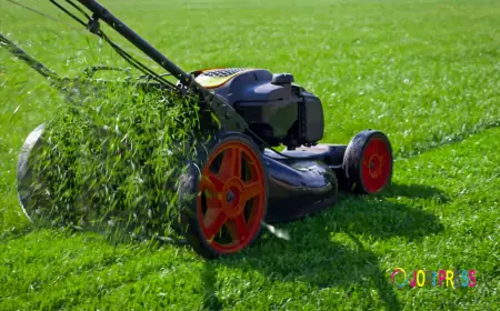 How Long Does a Professional Lawn Trimming Service Take?