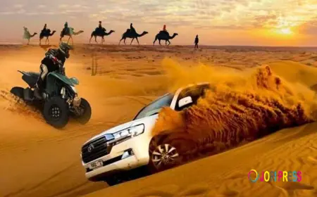 Dubai Desert Safari – Thrilling Desert Adventure Packages