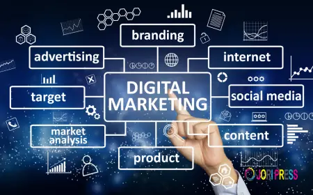 Best Digital Marketing Agency in Chandigarh