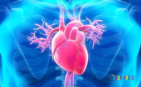 What Causes Rheumatic Fever and How Can It Be Prevented?