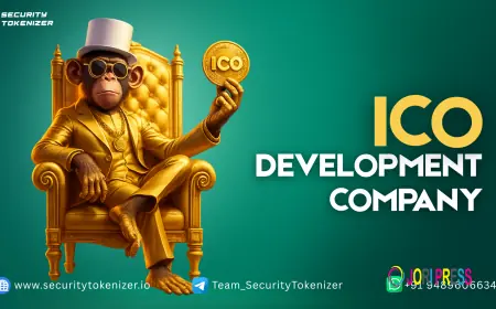 ICO Development Company Trends: From Real-World Asset Tokenization to DeFi Integration