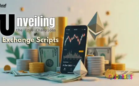 Who Really Wins with Exchange Scripts? A Look at the Biggest Beneficiaries