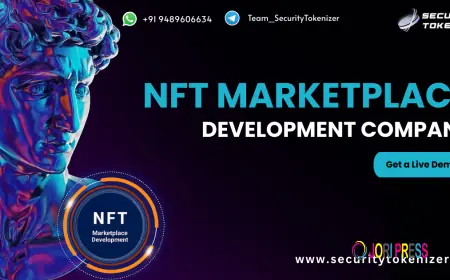 How a Professional NFT Marketplace Development Company Can Boost Your Brand
