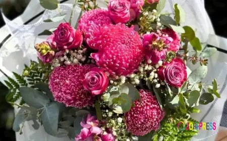 Florist Sunshine: Blooms That Brighten Every Moment