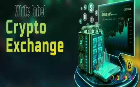 Balancing Innovation and Compliance in Cryptocurrency Exchanges