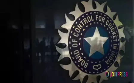 Power Talks in Delhi Over Next BCCI President: Decision Expected Soon