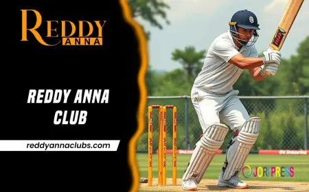 Reddy Anna Club Live Updates: Stay Ahead of Every Match