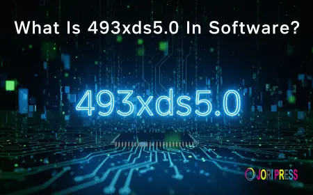 What Is 493xds5.0 in Software? Everything You Need to Know