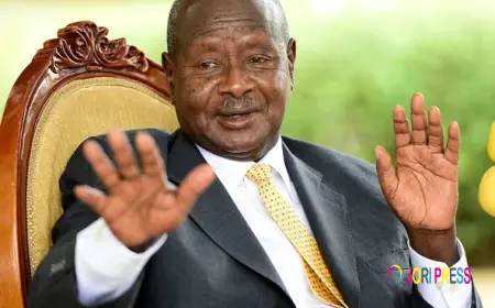 BREAKING!! Bobi Wine Faces Possible Disqualification From Presidential Contest For 'insufficient signatures'