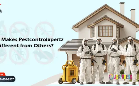PestXpertz Your Trusted Partner for Pest-Free Living