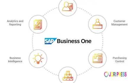 How SAP Bookkeeping Services Support Fast-Growing Startups