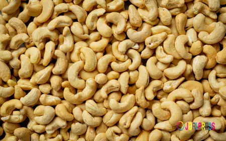 Need a Faster Way to Process Cashews? Choose Advanced Shelling Systems