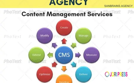 SanBrains – Among the Best Digital Marketing Companies in Bangalore