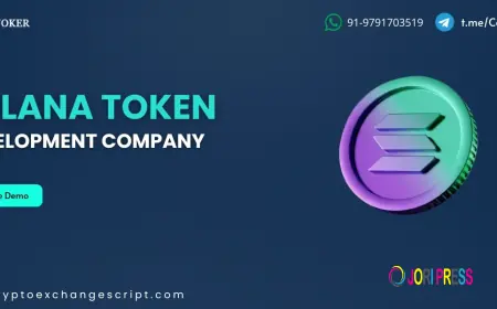 Solana Token Development Company: Your Shortcut to Web3 Success