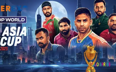 Tiger 365 Online Cricket ID | Tiger Exchange - #1 Secure Betting Platform