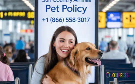 Sun Country Airlines Pet Policy: Your Complete Guide to Traveling with Pets