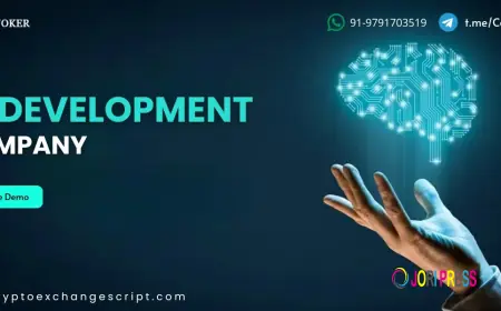 Fintech AI Development: Smart Financial Technology Solutions