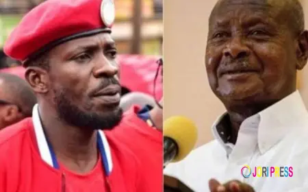 "Bobi Wine Can't Defeat Museveni Through Just Elections & Become President,  That Will Never Happen," Declares Senior Political Analyst