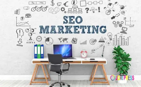 Les Meilleurs Casinos en Ligne pour Jouer en France