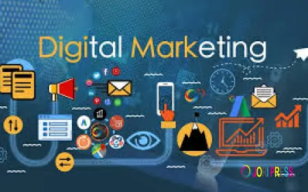 Best Digital Marketing Company in Chandigarh for SEO and Online Growth