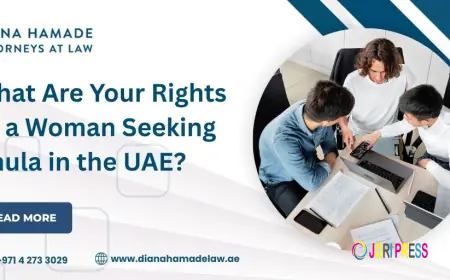 Experienced Family Lawyers – Protecting Your Rights and Relationships