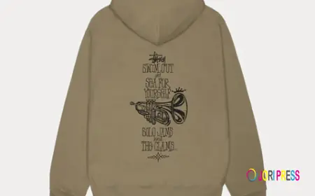 Stüssy Hoodies You Can’t Miss in the UK This Year