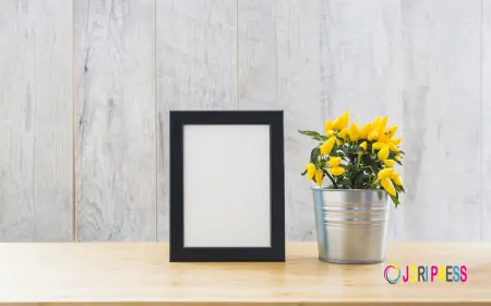 The Art of Preserving Memories: Choosing the Perfect Photo Frame