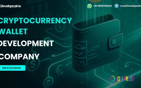 Beyond Storage: How Professional Wallet Development Protects Your Digital Future