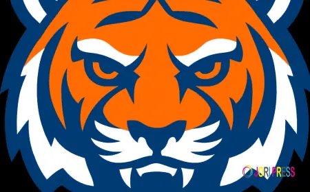 The Evolution of Cricket IDs: A Look Back and a Look Forward