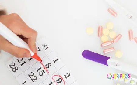 How an Ovulation Calculator Can Help Track Your Menstrual Health