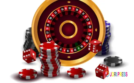 How to Get Started with Lotus365 Win for Maximum Success