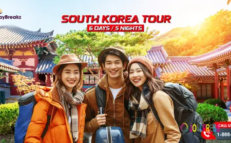 Book Your South Korea Tour with TheHolidayBreakz