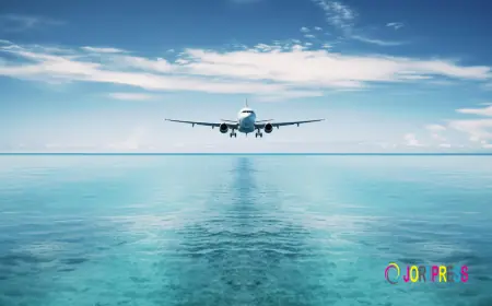 Stop Searching, Start Finding