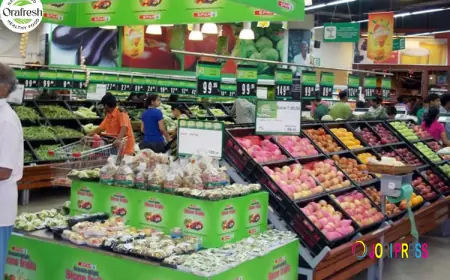 OraFresh – Buy Fresh Organic Fruits & Vegetables Online in Delhi | Healthy & Sustainable Grocery Delivery