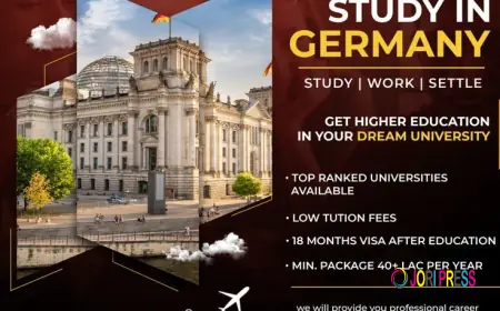 Guiding Students to Global Success