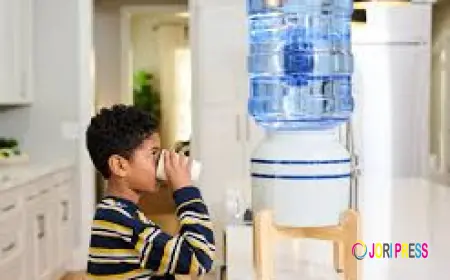 Why 5 Gallon Purified Water Delivery is the Smartest Choice for Homes and Offices