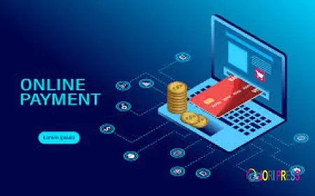 Everything You Need to Know About Online Payment Gateway in India