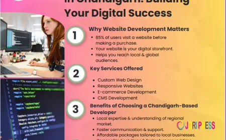 Professional Website Development Services in Chandigarh