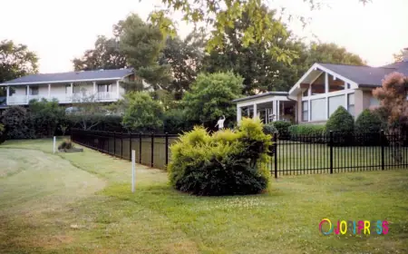 Elevate Your Property's Security and Aesthetics with Our Fences