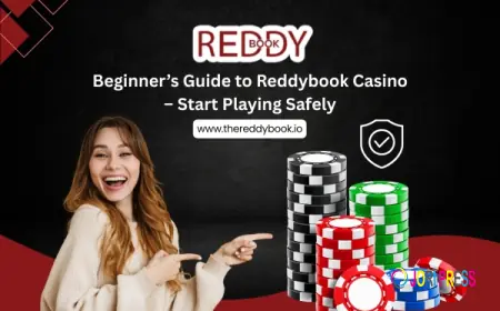 Beginner’s Guide to Reddybook Casino – Start Playing Safely