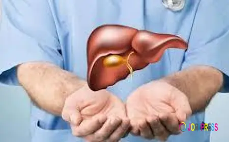 Liver Cancer Treatment Cost in India – What You Need to Know Before You Begin