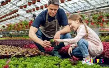 How Are the Best Nutraceutical Manufacturers in India Supporting Preventive Healthcare?