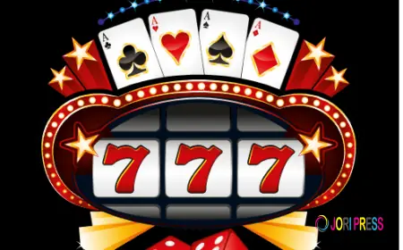 How to Stay Safe and Secure While Using winadda login