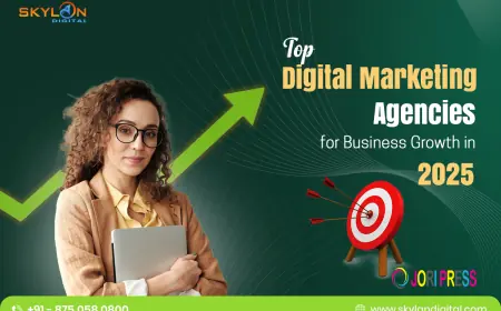 Top Digital Marketing Agency for Business Growth in 2025