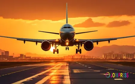 Discover AirlineCityOffices for Smooth Baggage Support